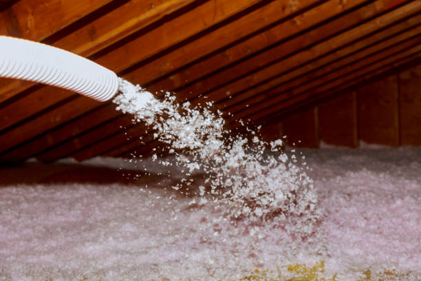 Best Insulation Installation Services in Lake City, MN