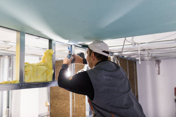 Best Insulation Maintenance and Repair in Lake City, MN