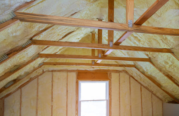 Best Commercial Insulation in Lake City, MN