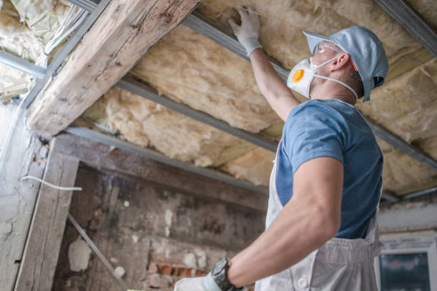 Best Insulation Installation Services in Lake City, MN